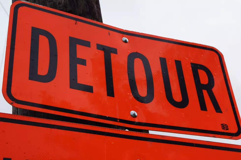 Tree Clearing Work to Prompt Road Closure in Albany